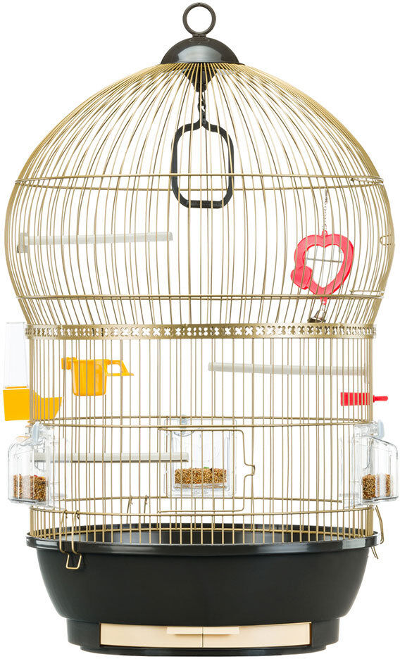 Ferplast 68.5Cm Hanging Bird Cage with Perch Gold/Black 68.5cm H X 41cm W X 40.8cm D