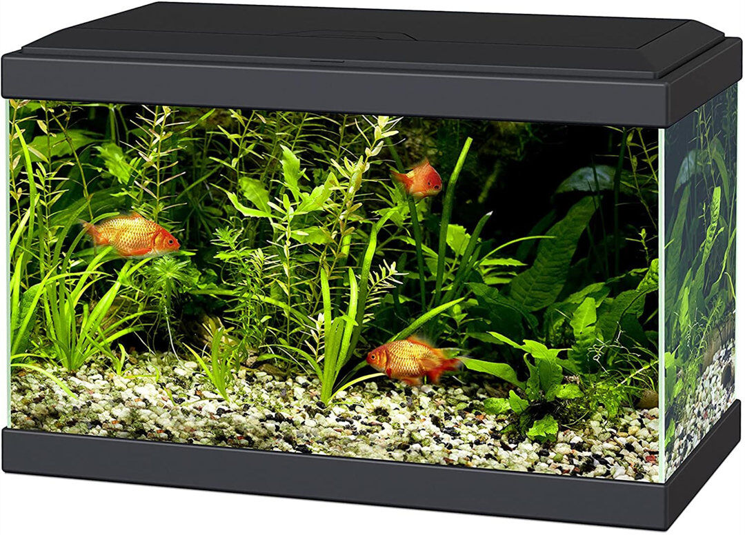 Archie & Oscar 20 Aquarium With LED Lights & Filter BLACK Clear