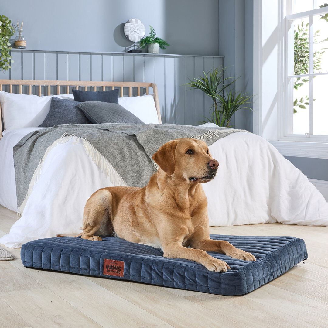 Slumberdown Orthopaedic Firm Support Crate Mattress Pet Bed Blue 100cm H x 70cm W x 9cm D