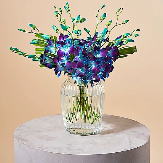 Serenata Flowers Sapphire Galaxy Serenata Flowers Sapphire Galaxy