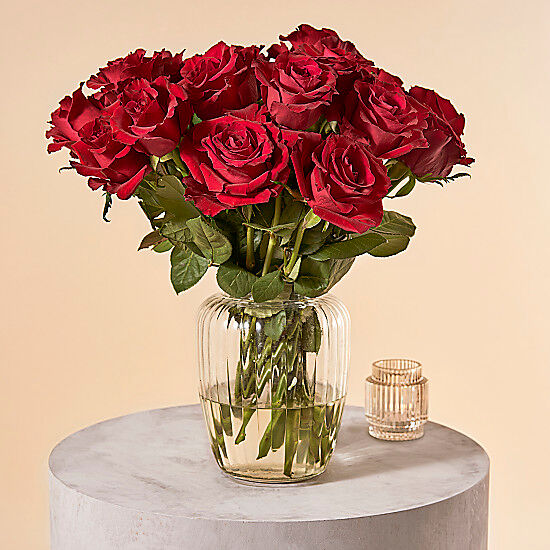 Serenata Flowers Two Dozen Red Roses Serenata Flowers Two Dozen Red Roses