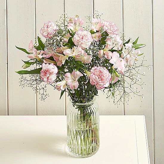 Serenata Flowers Blush Delight