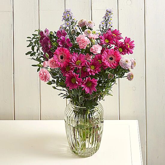 Serenata Flowers Cranberry Sorbet Serenata Flowers Cranberry Sorbet