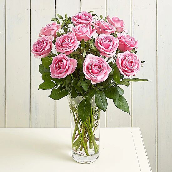 Serenata Flowers Bella Rossa Serenata Flowers Bella Rossa