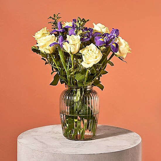 Serenata Flowers Starry Night Serenata Flowers Starry Night