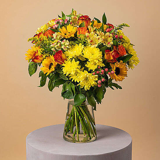 Serenata Flowers Amber Vixen Serenata Flowers Amber Vixen