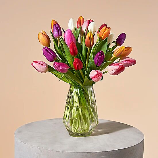 Serenata Flowers Rainbow Tulips Serenata Flowers Rainbow Tulips