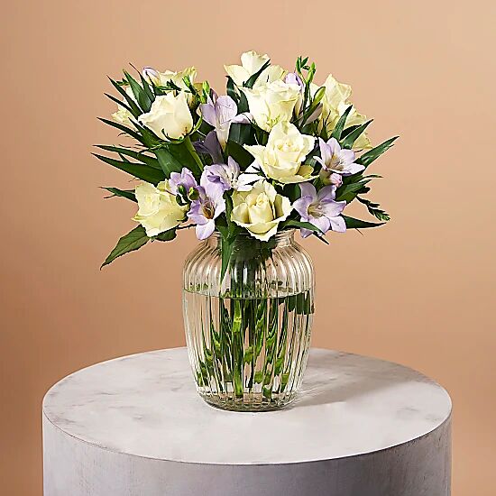 Serenata Flowers Twilight Serenata Flowers Twilight