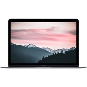 Refurbished: MacBook 10,1/i5-7Y54/8GB Ram/500GB SSD/12”/RD/OSX/SG/B