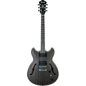 Ibanez AS53-TKF Trans Black Flat Ibanez AS53-TKF Trans Black Flat