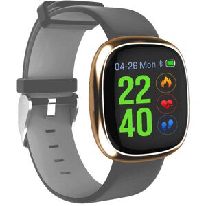 GreenZech (Gray Gold) 1'' TFT Color Screen IP67 Waterproof Smart Watch Heart Rate Monitor GreenZech (Gray Gold) 1'' TFT Color Screen IP67 Waterproof Smart Watch Heart Rate Monitor