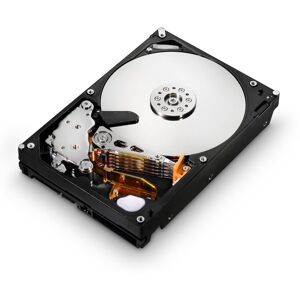 Hitachi HGST HUS724020ALE640 2TB 3.5-inch SATA 7.2K RPM Internal HDD (0F14685) Hitachi HGST HUS724020ALE640 2TB 3.5-inch SATA 7.2K RPM Internal HDD (0F14685)