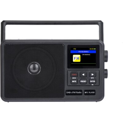 Unbranded HanRongDa CS-806 Portable DAB+ FM Internet Radio WiFi Speaker 8W 256G Unbranded HanRongDa CS-806 Portable DAB+ FM Internet Radio WiFi Speaker 8W 256G