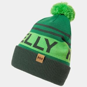 Helly Hansen Unisex Ridgeline Retro Ski Beanie Green STD - Darkest Spr Green - Unisex