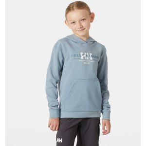 Helly Hansen Navy Graphic Hoodie - Hoodies Helly Hansen Navy Graphic Hoodie - Hoodies