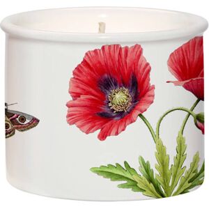 Botanic Garden by Wax Lyrical Wax Fill Candle Poppy