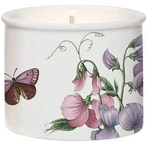 Botanic Garden by Wax Lyrical Wax Fill Candle Sweet Pea