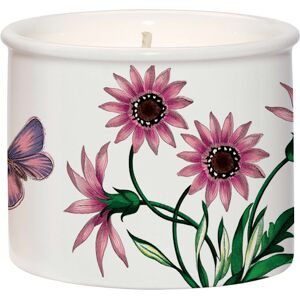 Botanic Garden by Wax Lyrical Wax Fill Candle Treasure Flower