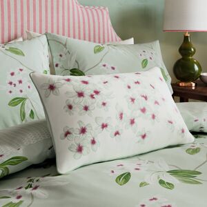 Sanderson Options Oleander Cushion 50x30cm Aqua