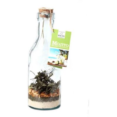 Quai Sud Mojito Carafe Cocktail Mix Quai Sud Mojito Carafe Cocktail Mix