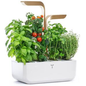 Veritable Moonlight Gold Connect 4-Slot Indoor Garden