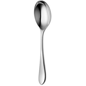 Robert Welch Norton Bright Serving Spoon Robert Welch Norton Bright Serving Spoon