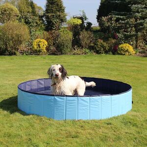 Rosewood - Cool Down Pool - Foldable - 160 x 30 cm - Pool Rosewood - Cool Down Pool - Foldable - 160 x 30 cm - Pool
