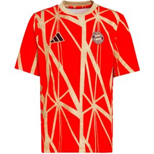 adidas 2024-2025 Bayern Munich Pre-Match Shirt (Red) - Red - male - Size: XXXL 48-50\" Chest adidas 2024-2025 Bayern Munich Pre-Match Shirt (Red) - Red - male - Size: XXXL 48-50\" Chest
