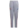 adidas Lyon Training Pants (Halo Silver) - Grey - male - Size: Small 32\" Waist