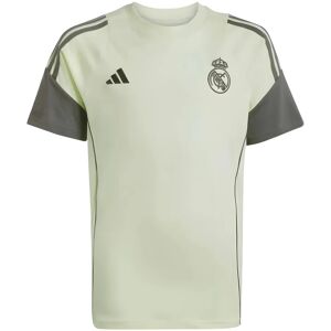 adidas 2025-2026 Real Madrid Training Tee (Almost Lime) - Kids - Green - male - Size: 15/16 Years - 34-36\" adidas 2025-2026 Real Madrid Training Tee (Almost Lime) - Kids - Green - male - Size: 15/16 Years - 34-36\"