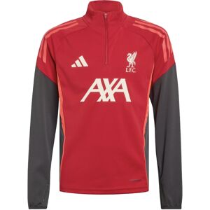 adidas 2025-2026 Liverpool Training Top (Strawberry Red) - Kids - Red - male - Size: 15/16 Years - 34-36\" adidas 2025-2026 Liverpool Training Top (Strawberry Red) - Kids - Red - male - Size: 15/16 Years - 34-36\"
