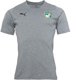 Puma Mens FIF Ivory Coast Casual Performance T-Shirt Medium Gray Heather Puma Mens FIF Ivory Coast Casual Performance T-Shirt Medium Gray Heather