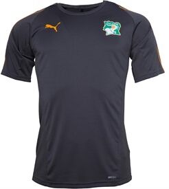 Puma Mens Pumamens FIF Ivory Coast Training Top Asphalt/Asphalt Puma Mens Pumamens FIF Ivory Coast Training Top Asphalt/Asphalt