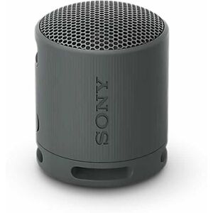 Sony SRSXB100B