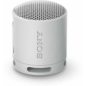 Sony SRSXB100H