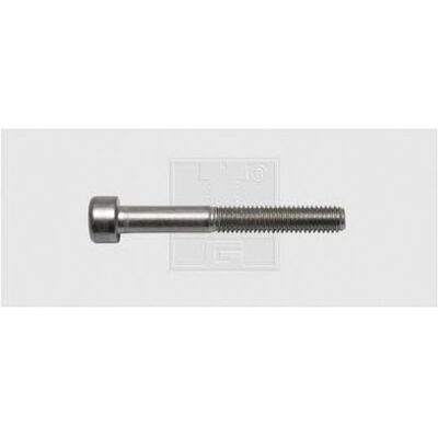 SWG 9462567 Hexagon Socket Head Screw M6 25mm - Screw SWG 9462567 Hexagon Socket Head Screw M6 25mm - Screw