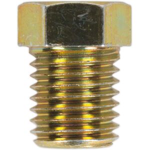 Sealey BN10125SM Brake Pipe Nut M10 x 1.25mm Short Male Pack of 25 Sealey BN10125SM Brake Pipe Nut M10 x 1.25mm Short Male Pack of 25