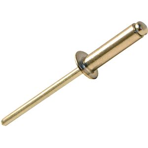 ForgeFix 100RIV4816 Aluminium Rivets 4.8 x 16mm Bag 100 ForgeFix 100RIV4816 Aluminium Rivets 4.8 x 16mm Bag 100