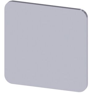Siemens 3SU19000AF810AA0 SIRIUS ACT Label Plate 22x22mm Silver 10 pcs Siemens 3SU19000AF810AA0 SIRIUS ACT Label Plate 22x22mm Silver 10 pcs