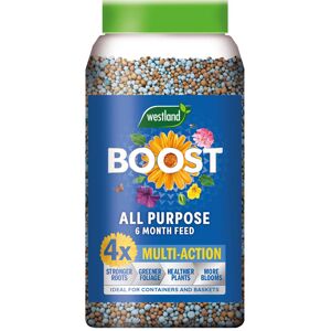 Westland 20100535 Boost All Purpose 6 Month Plant Feed 750g Westland 20100535 Boost All Purpose 6 Month Plant Feed 750g