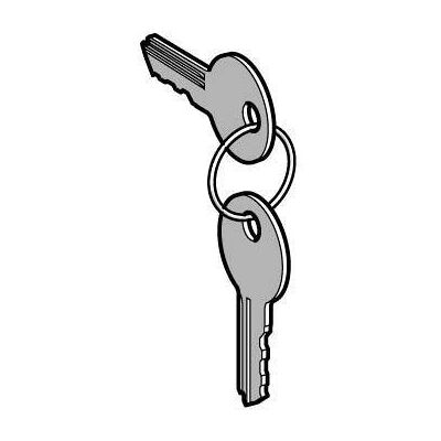 Schneider Electric ZBG455 Key Accessory - Safety & Durability Schneider Electric ZBG455 Key Accessory - Safety & Durability