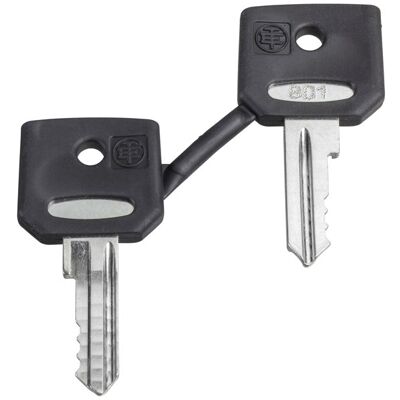 Schneider Electric ZBG421E - Key for Locking Switch - Industrial Grade Schneider Electric ZBG421E - Key for Locking Switch - Industrial Grade