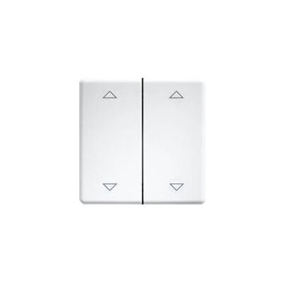 Eltako DW-FT55-rw+2P Double Rocker Switch - Switch Eltako DW-FT55-rw+2P Double Rocker Switch - Switch