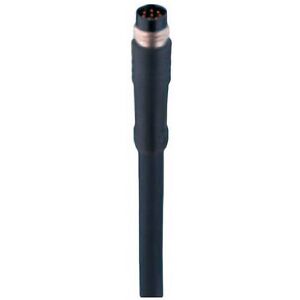 Belden 934636169-1 Sensor/Actuator Connector - M8, 2m, 8-pin, Straight Belden 934636169-1 Sensor/Actuator Connector - M8, 2m, 8-pin, Straight