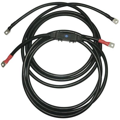 IVT Cable Set - 2m, 35mm², for DSW Series Inverters IVT Cable Set - 2m, 35mm², for DSW Series Inverters
