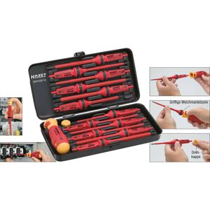 Hazet 804VDE/14 VDE Bit Set 14-Piece 1000V Safe Non-Slip Grip Hazet 804VDE/14 VDE Bit Set 14-Piece 1000V Safe Non-Slip Grip