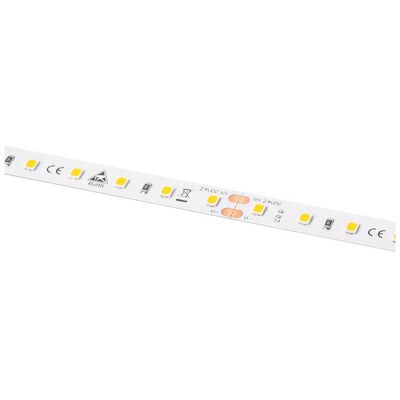 Barthelme LED Strip 12V 5000mm Cold White - LED Strip Barthelme LED Strip 12V 5000mm Cold White - LED Strip