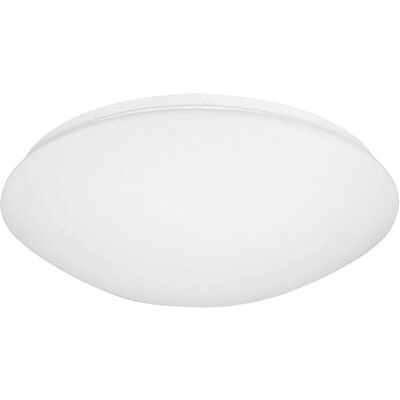 Niermann White Impact-Resistant Ceiling Light - Ceiling Light Niermann White Impact-Resistant Ceiling Light - Ceiling Light