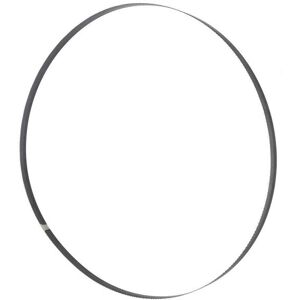 Holzmann Maschinen Holzmann BSB230B6 Band Saw Blade 1575x6x0.36mm 14 ZpZ Holzmann Maschinen Holzmann BSB230B6 Band Saw Blade 1575x6x0.36mm 14 ZpZ