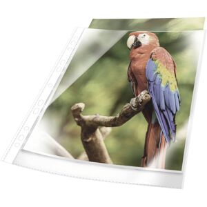 Durable 265502 Punched pocket A4 Polypropylene White 25 pcs Durable 265502 Punched pocket A4 Polypropylene White 25 pcs